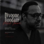 دانلود آهنگ دیوونه بودم از مهدی جهانی