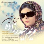 دانلود آهنگ مرغ امین از مریم حیدر زاده