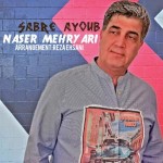 دانلود آهنگ صبر ایوب از ناصر مهریاری