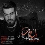 دانلود آهنگ دل بریدی از امین فیاض