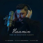 دانلود آهنگ تویی که خاطره ساختی از هامین