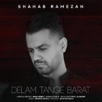دانلود آهنگ دلم تنگه برات از شهاب رمضان