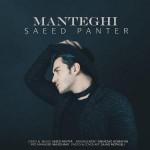 دانلود آهنگ منطقی از سعید پانتر