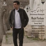 دانلود آهنگ دیوونه ی کمیاب از مجید پرهام