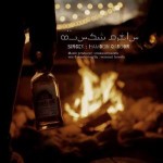 دانلود آهنگ ساغرم شکسته (دلی) از هامون قارون