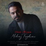 دانلود آهنگ مال همیم  از مهراز تقوایی