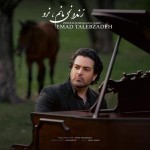دانلود آهنگ زنده نمی مانم نرو از عماد طالب زاده