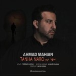 دانلود آهنگ تنها نرو از احمد ماهیان