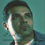 دانلود آهنگ شماره چند قلبتم از حمیدرضا دهقانی