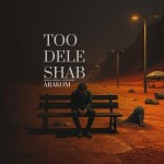دانلود آهنگ تو دل شب از آراکوم