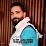 دانلود آهنگ دور دور شبونه از اشکان شاه محمدی