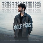 دانلود آهنگ گل یاس از محمد مهرزاد